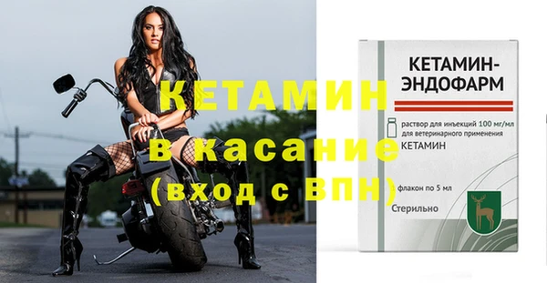 крисы Елабуга