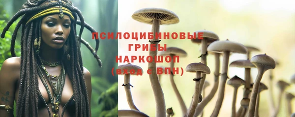 индика Елизово
