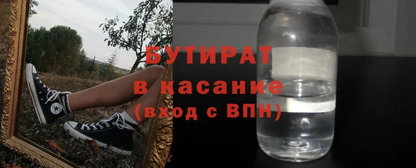 индика Елизово