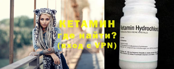 индика Елизово