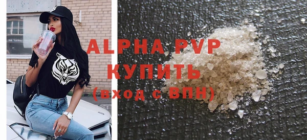 индика Елизово