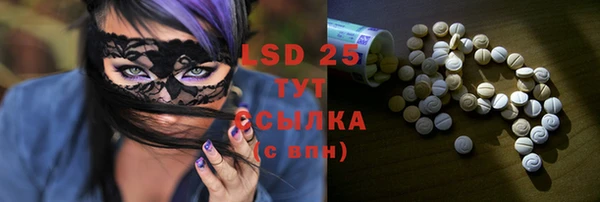 крисы Елабуга