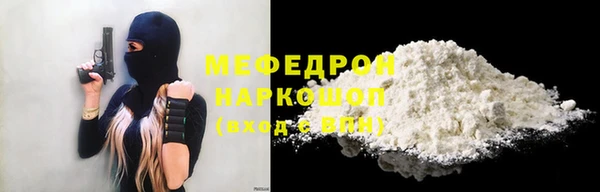 индика Елизово