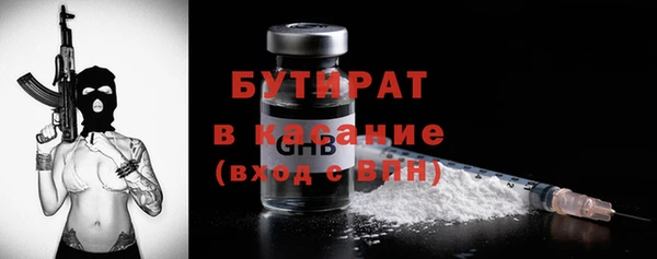 индика Елизово