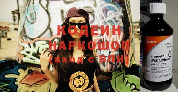 крисы Елабуга