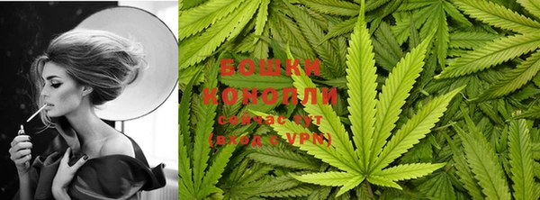 крисы Елабуга
