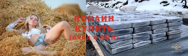индика Елизово