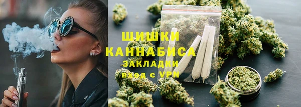 крисы Елабуга