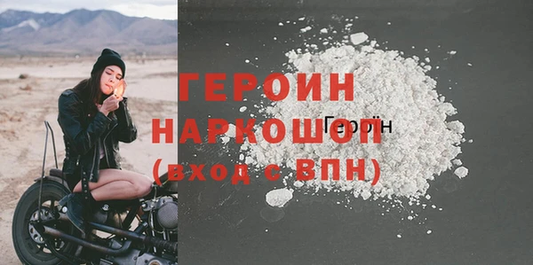 индика Елизово