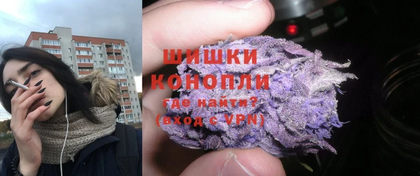 крисы Елабуга