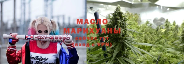 индика Елизово