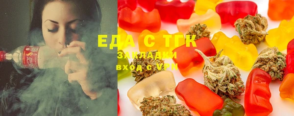индика Елизово