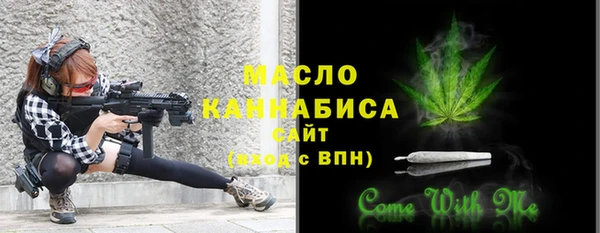 крисы Елабуга