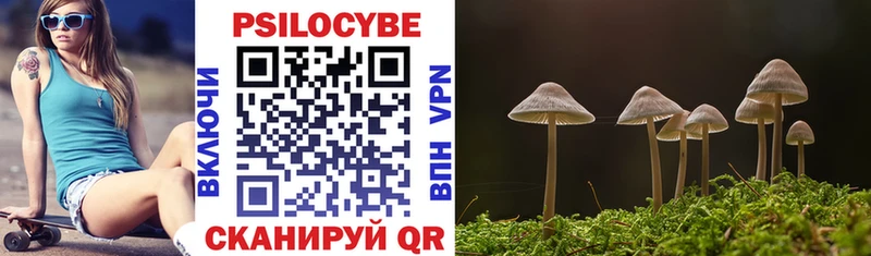 Галлюциногенные грибы Psilocybine cubensis  Красноуральск 